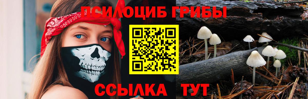 Галлюциногенные грибы MAGIC MUSHROOMS  Вход с VPN  Псилоцибиновые грибы мицелий  Находка 