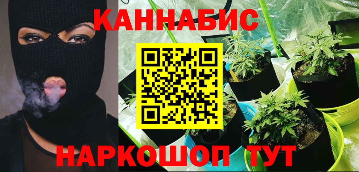 Каннабис конопля Находка